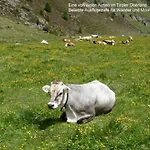 Imsterberger Auszeit *