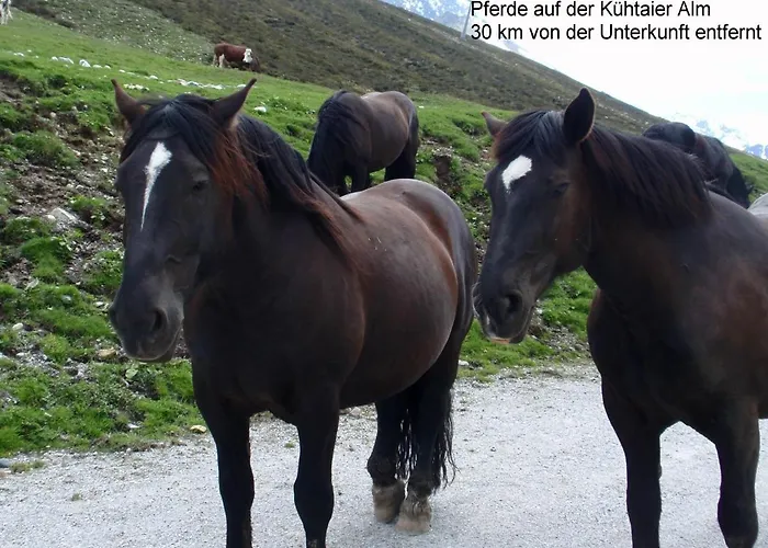 Apartamento Imsterberger Auszeit